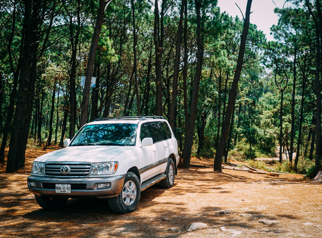 How to Choose the Best Auto Extended Warranty